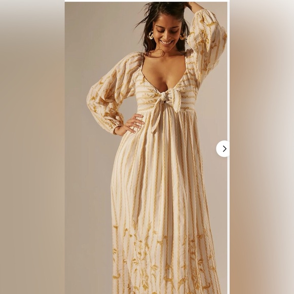 💥PRICE DROP💥 Anthropologie Embroidered Sweetheart Maxi Dress - Picture 3 of 10